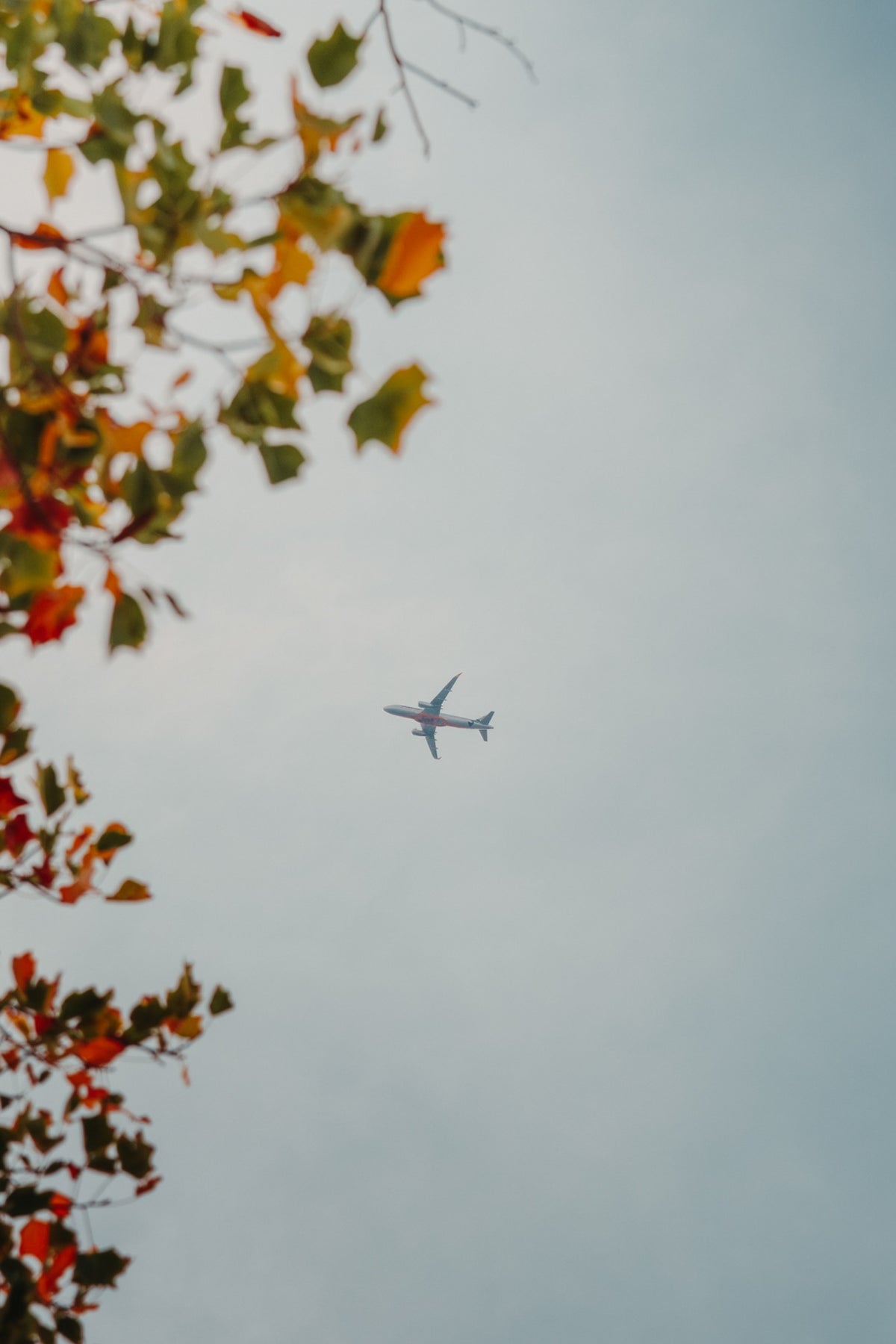 Above